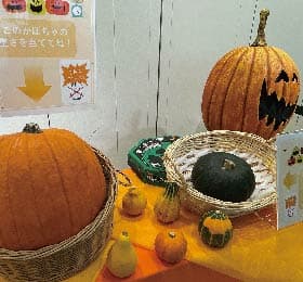 かぼちゃの重さ当てクイズ