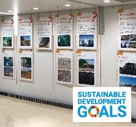 SDGsパネル展