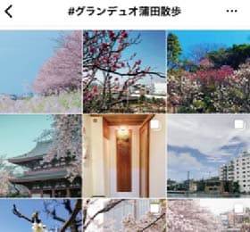 Instagram ハッシュタグキャンペーン