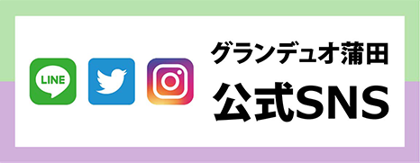 公式SNS