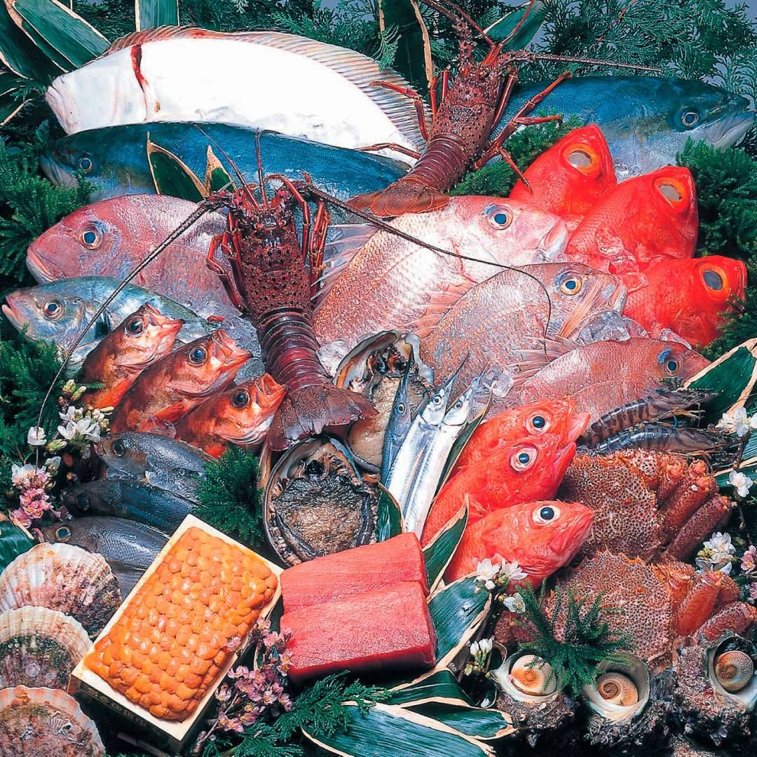 最上鮮魚