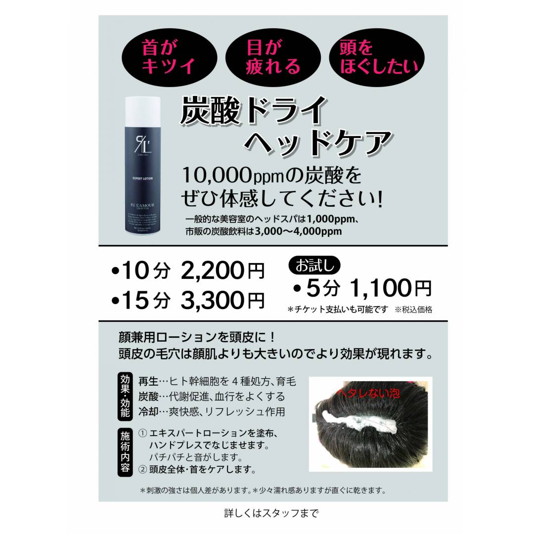 ＊炭酸ヘッドコース＊