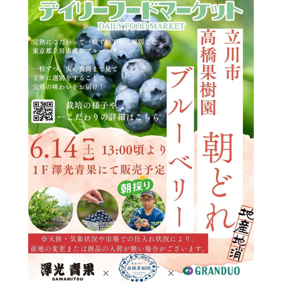 グランデュオ立川×澤光青果通信VOL.2【立川市の農園との果実栽培の様子をお届け】~ブルーベリー~