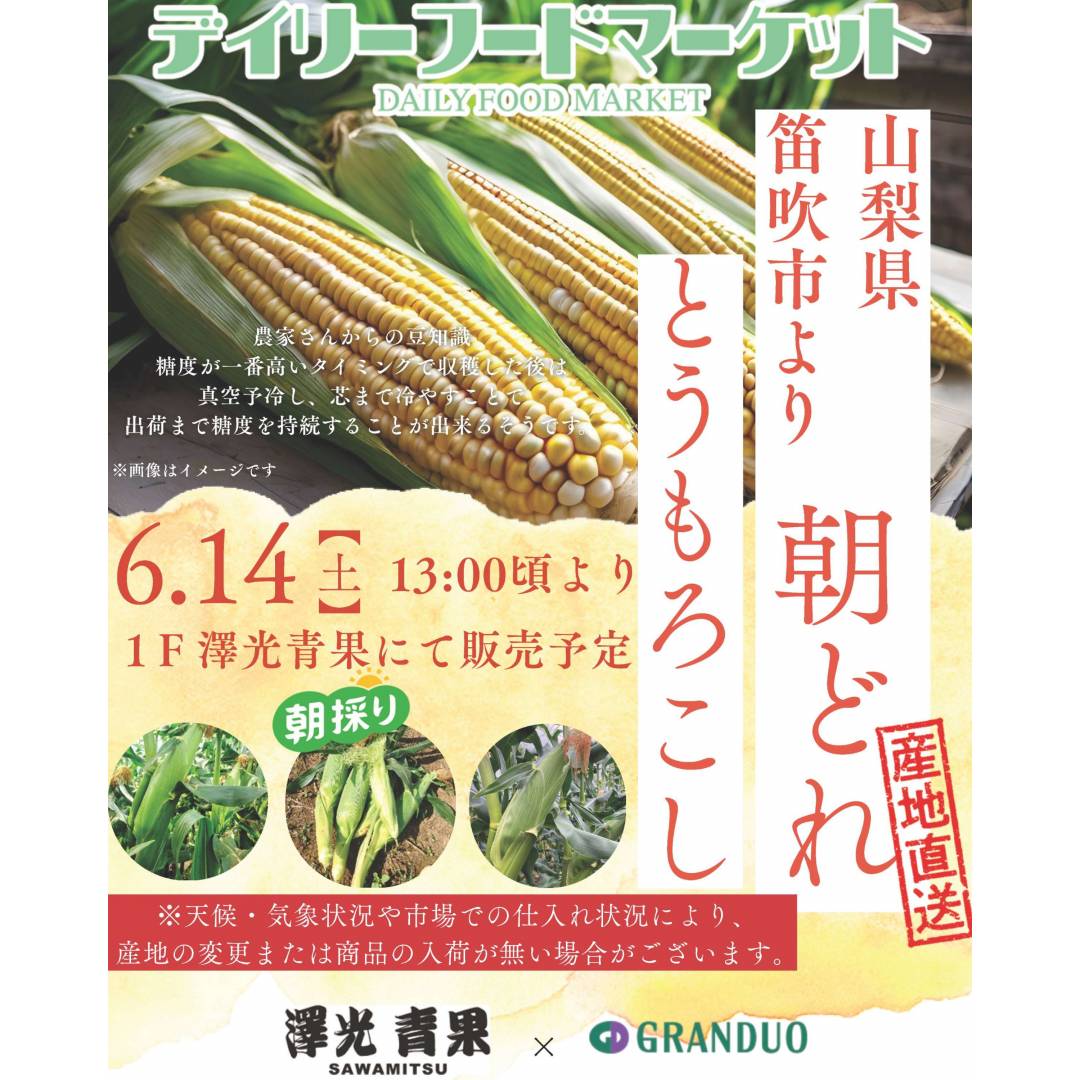 グランデュオ立川×澤光青果通信VOL.4【完売】朝どれ野菜の販売 ~山梨県笛吹市~ とうもろこし