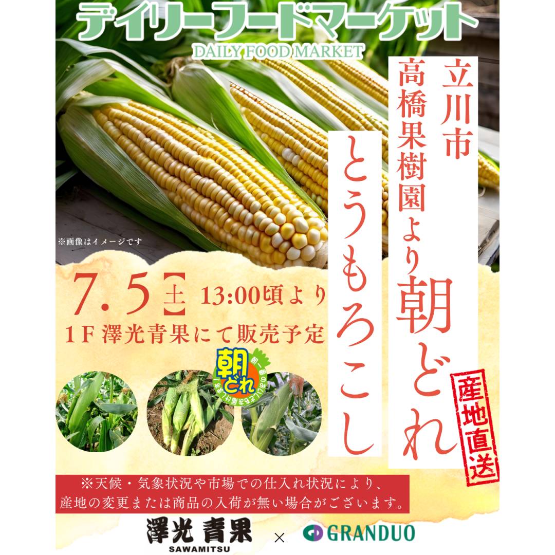グランデュオ立川×澤光青果通信VOL.8【完売】地場野菜の販売 ~立川市高橋果樹園~ とうもろこし
