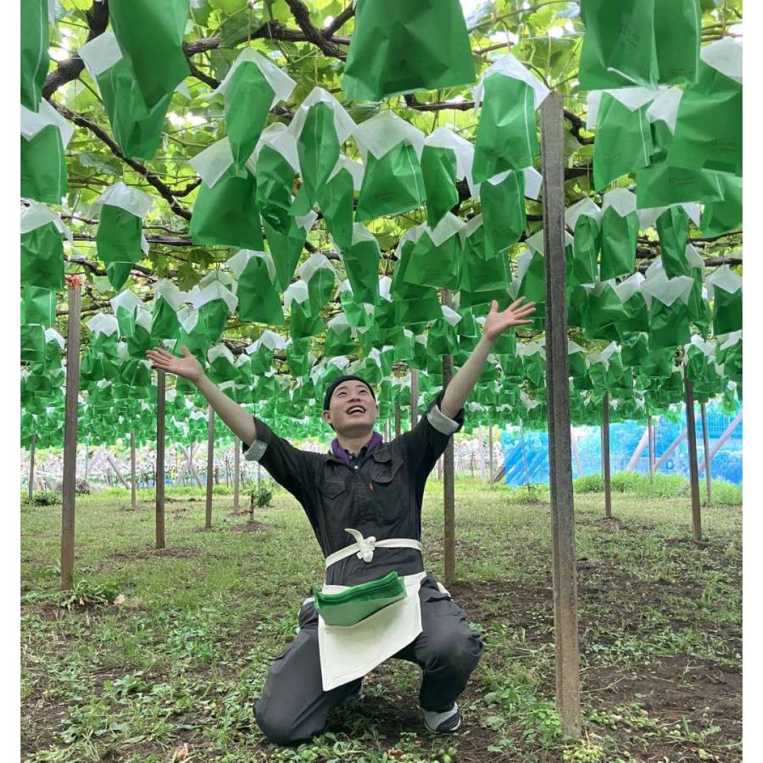 澤光青果