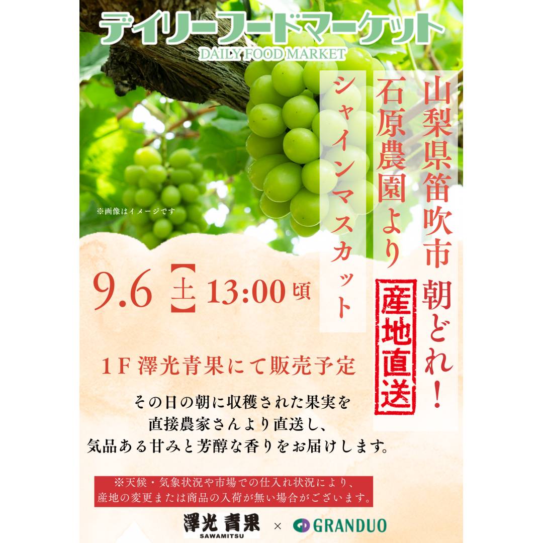 グランデュオ立川×澤光青果通信VOL.14【完売】 朝どれ青果の販売 ~山梨県笛吹市~ シャインマスカット
