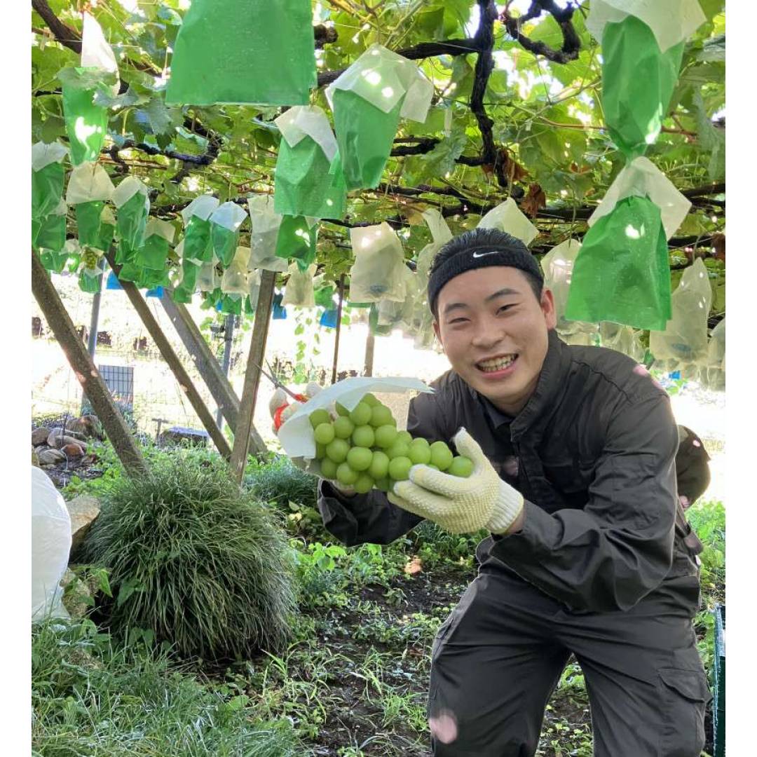 澤光青果