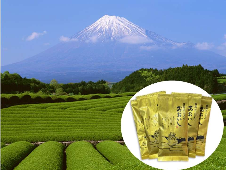 静岡おおいし