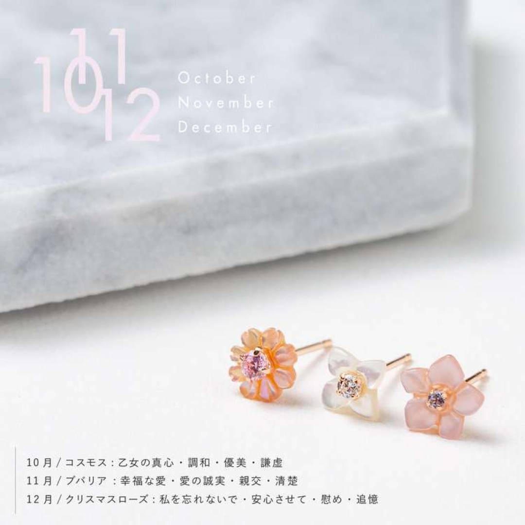 10月誕生花　コスモスピアス