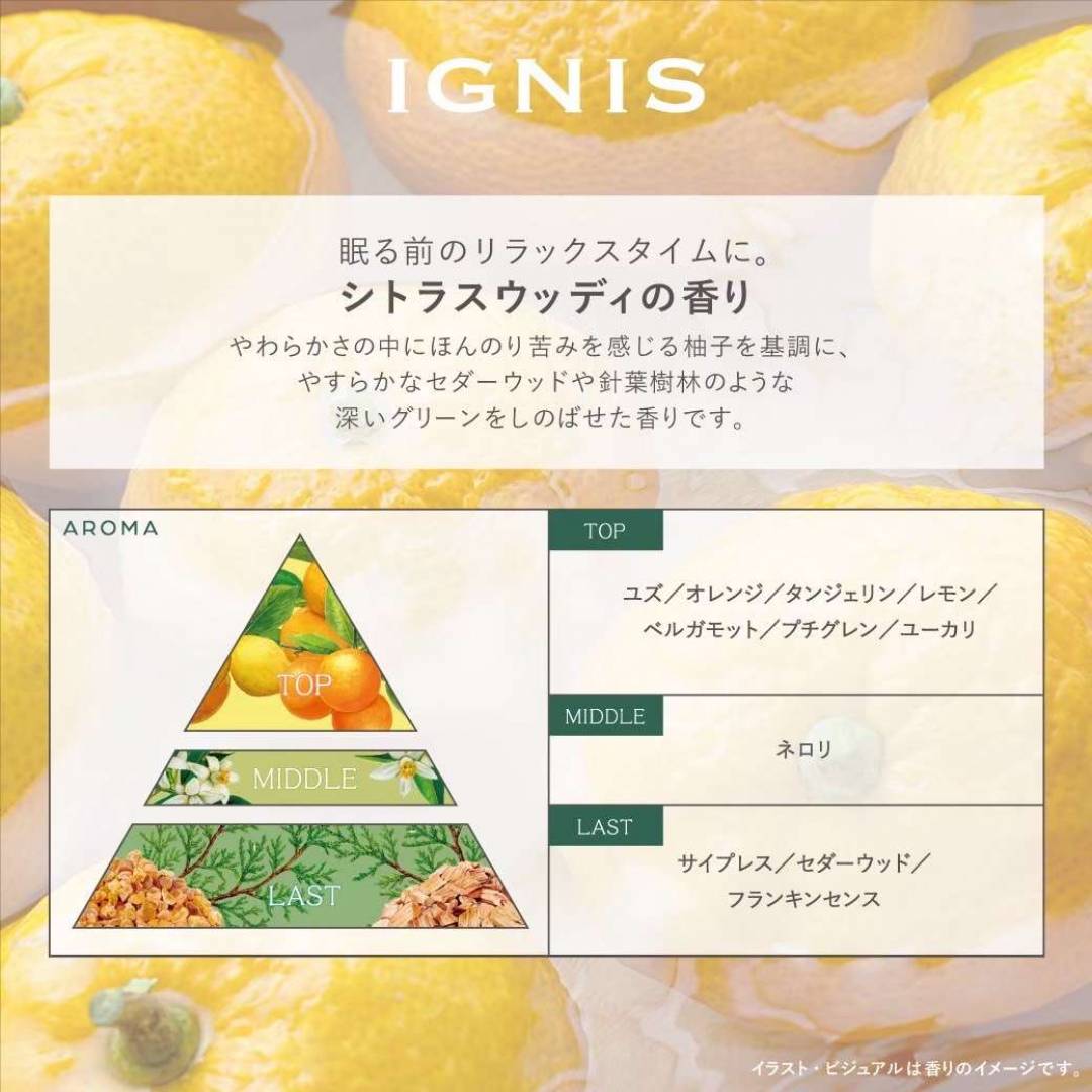 アトリエ アルビオン