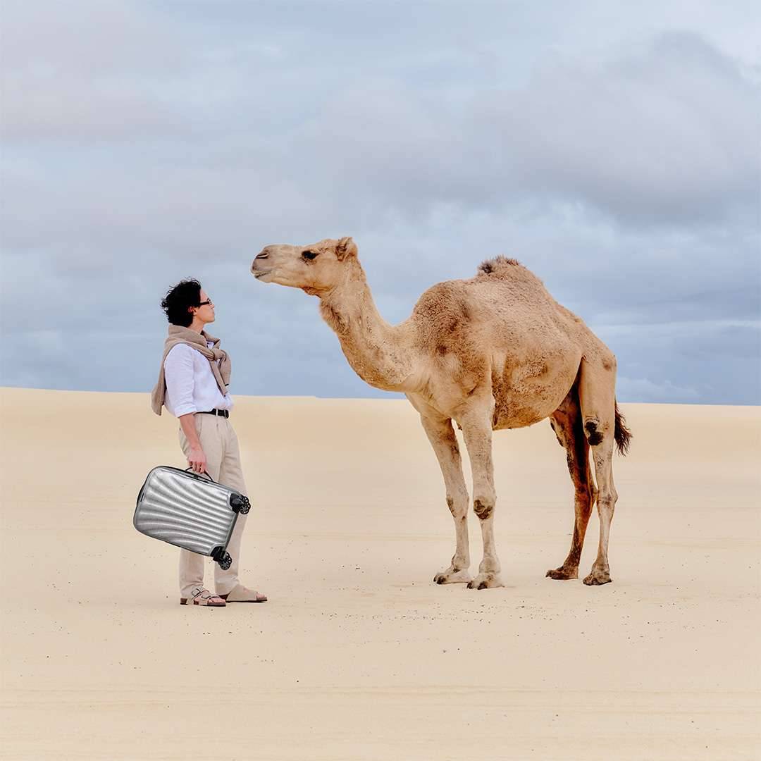 超軽量シリーズの限定モデル発売