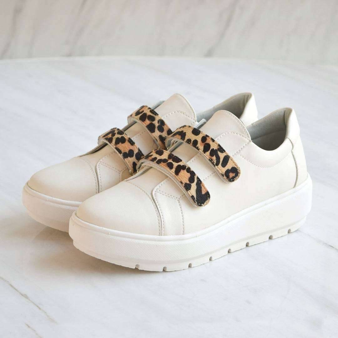 エイゾーコレクション