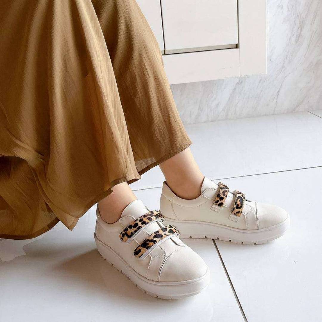 エイゾーコレクション