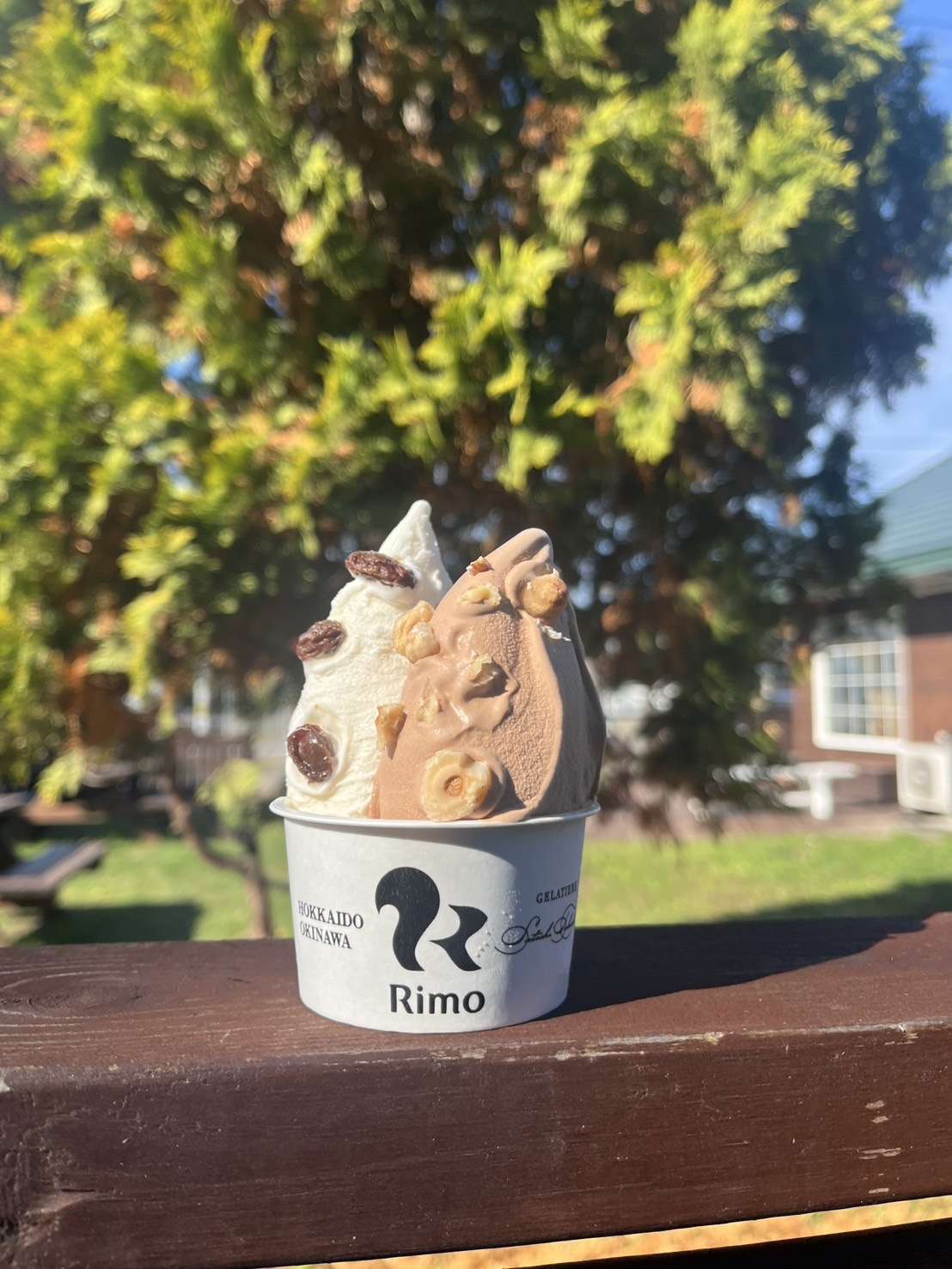 ラムレーズンとジャンドゥーヤのダブル