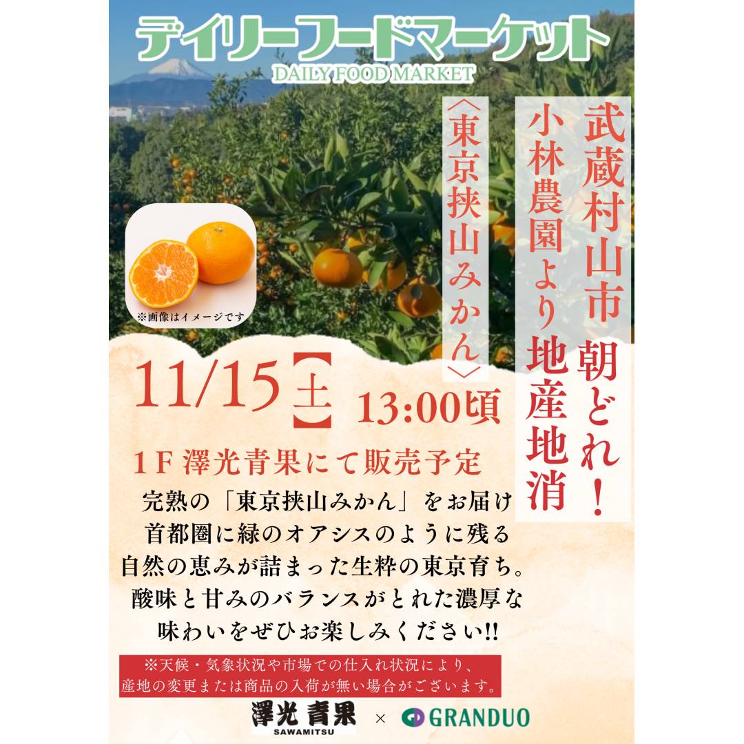 グランデュオ立川×澤光青果通信VOL.19【完売】　地場果実の販売 ~武蔵村山市 小林農園~(みかん)