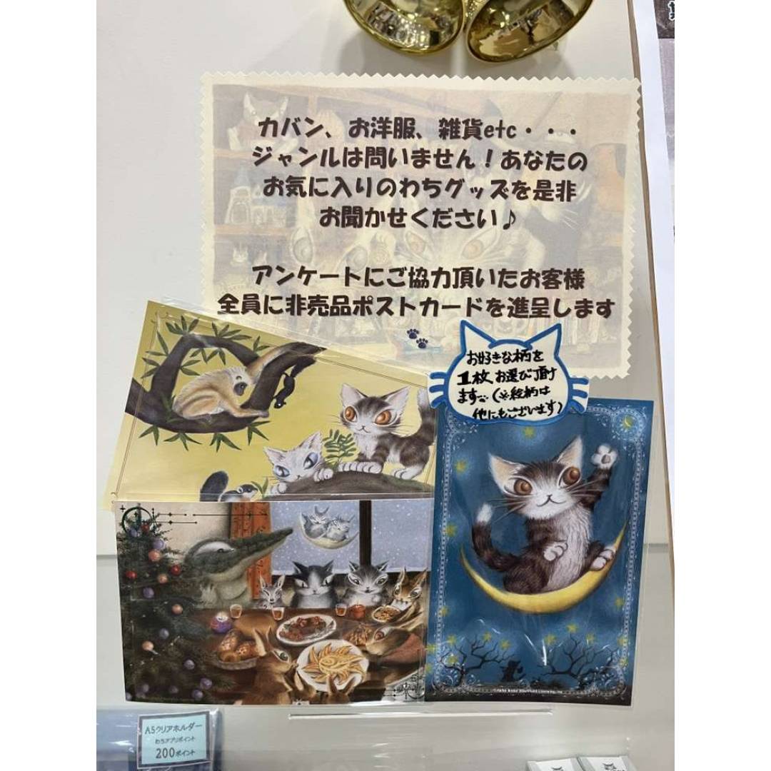 わちふぃーるど