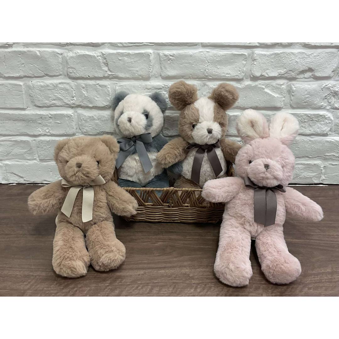 どの子をお迎えしますか?🤍