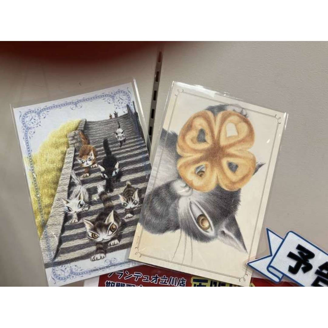 わちふぃーるど