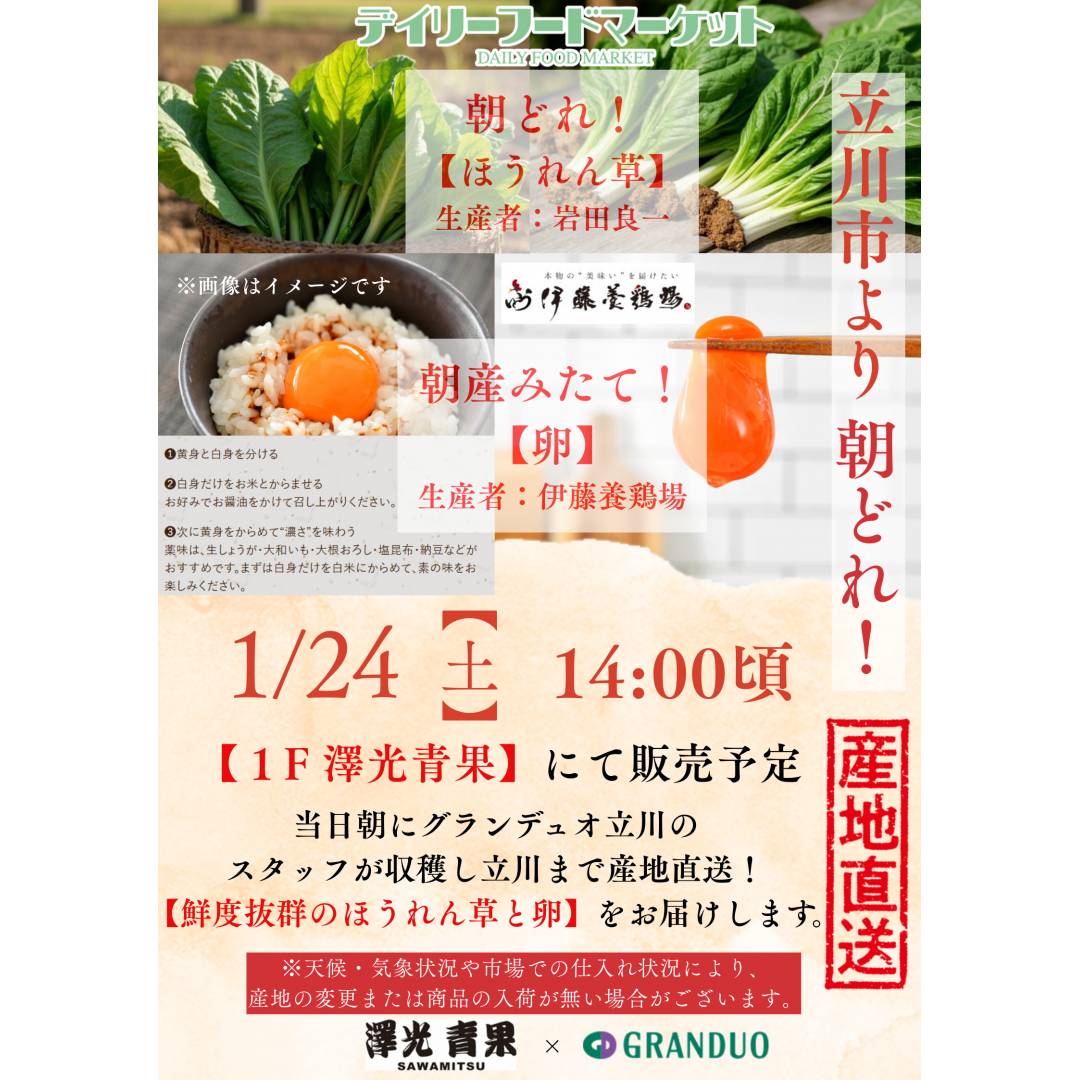 グランデュオ立川×澤光青果通信VOL.21　【完売】　地場野菜と産みたて卵の販売 ~ほうれん草(岩田さん)・卵(伊藤養鶏場)~