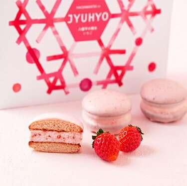 八幡平の樹氷(苺&チョコ)