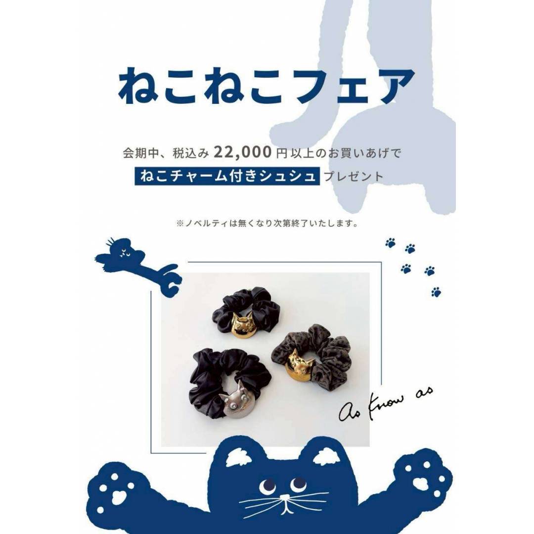 ねこねこフェア開催中