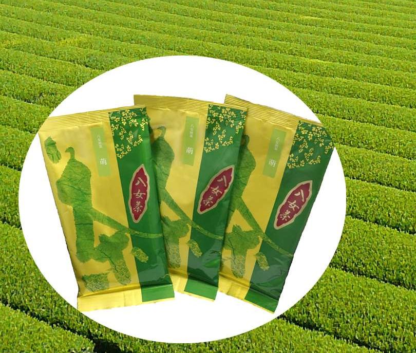 八女煎茶(萌)