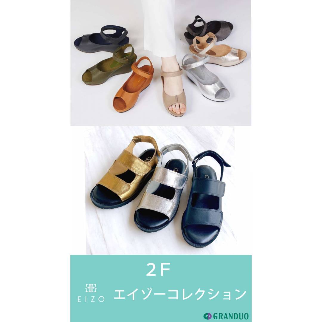 エイゾーコレクション