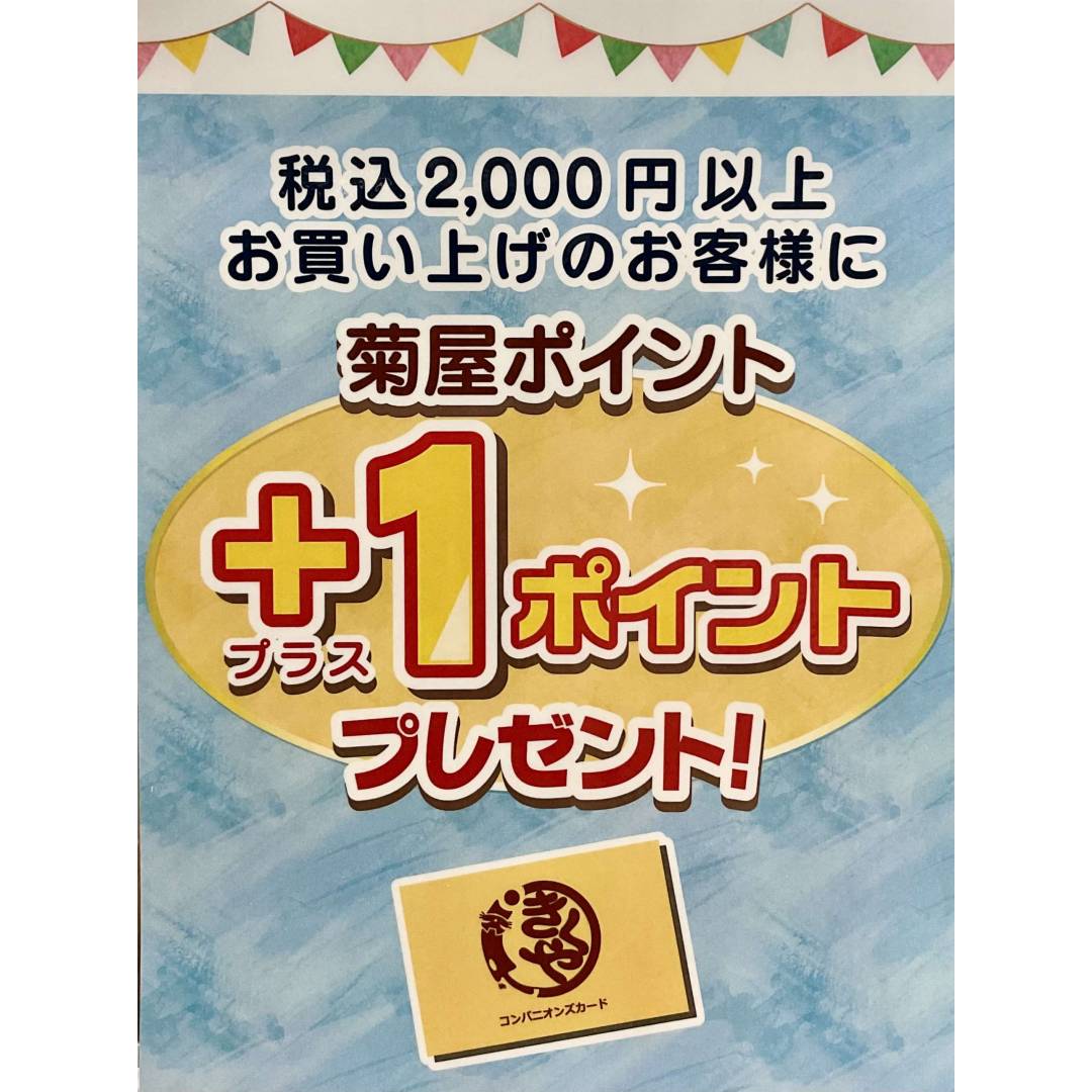 税込2000円以上お買い上げでプラス1ポイント🐱