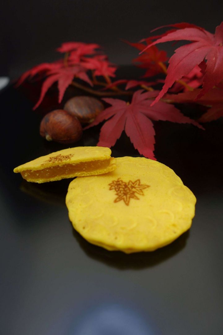 洛北さんぽ