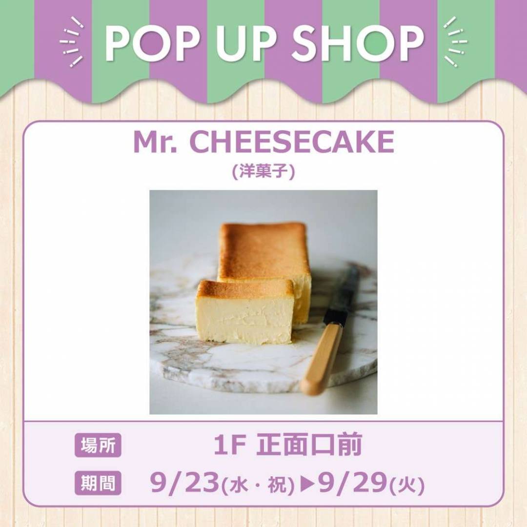 Mr. CHEESECAKE
