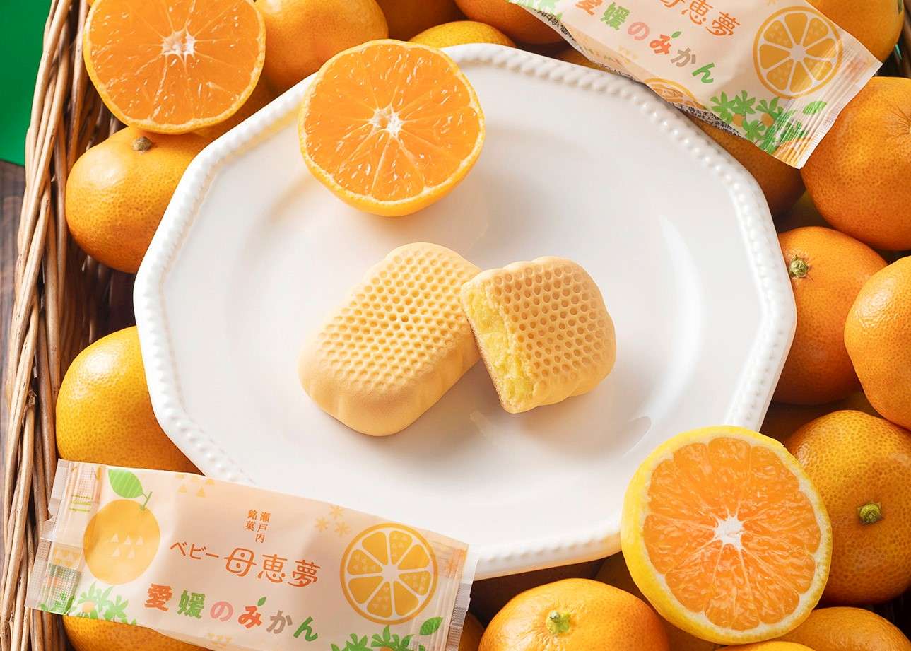 愛媛のみかん