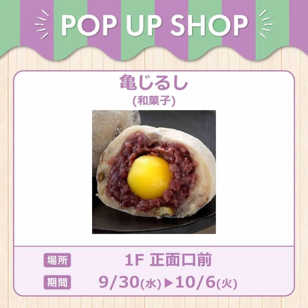 亀じるし
