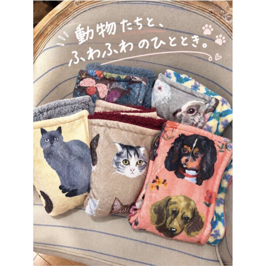プレゼントにも!