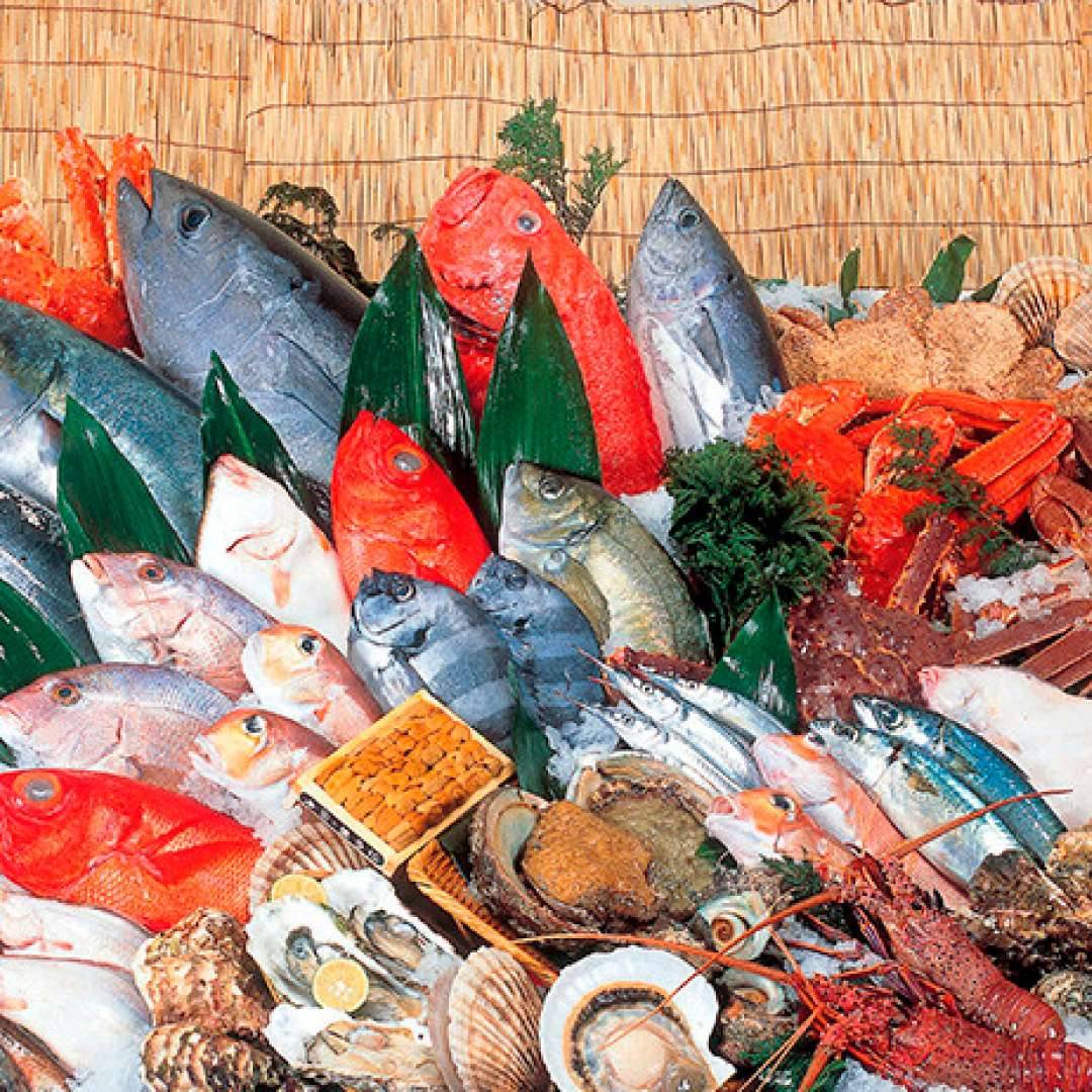 魚力