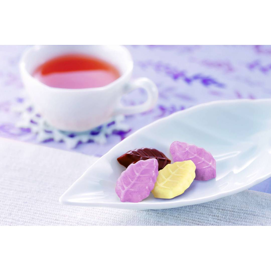 限定リーフメモリー発売のご案内🌱