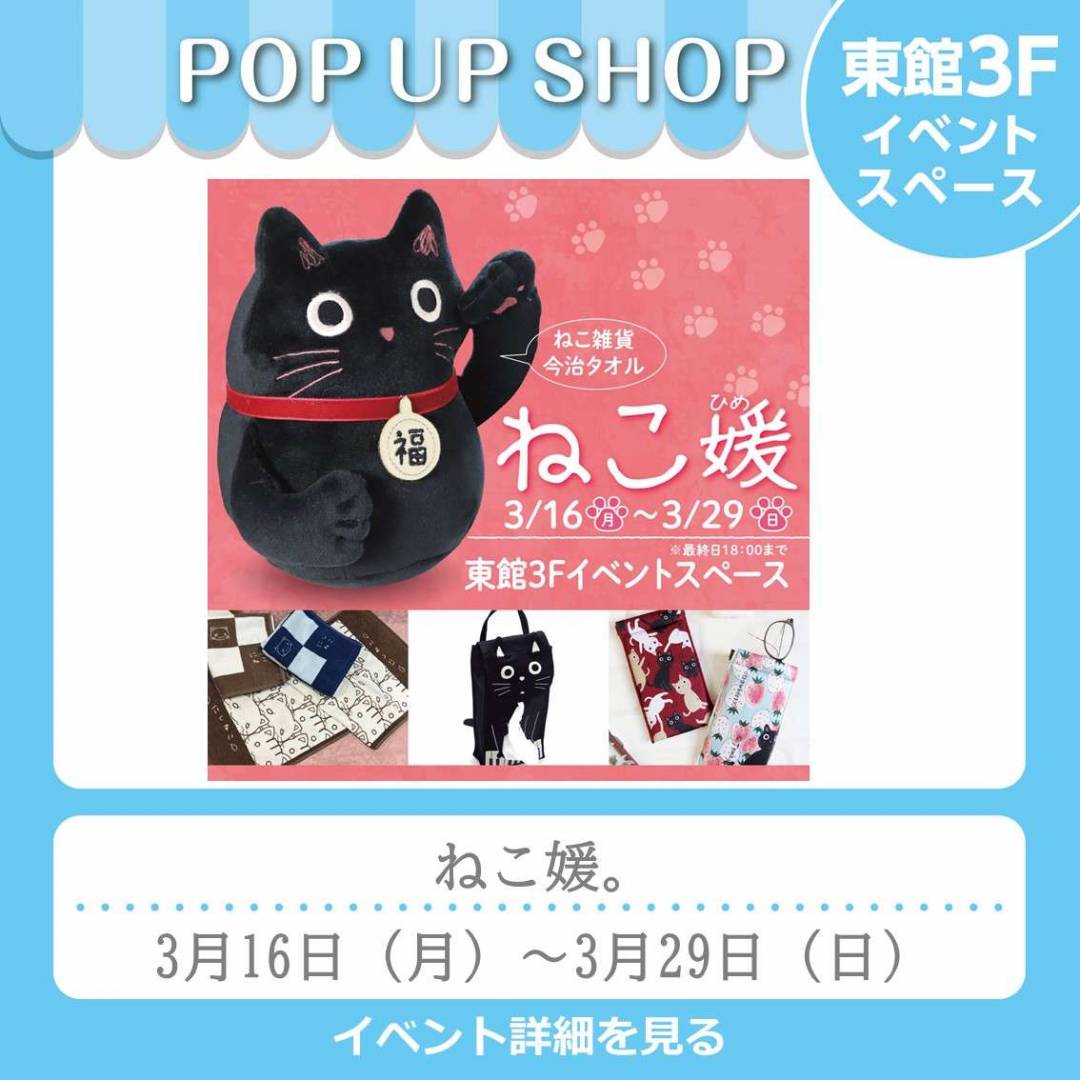 東館3Fイベント「ねこ媛」