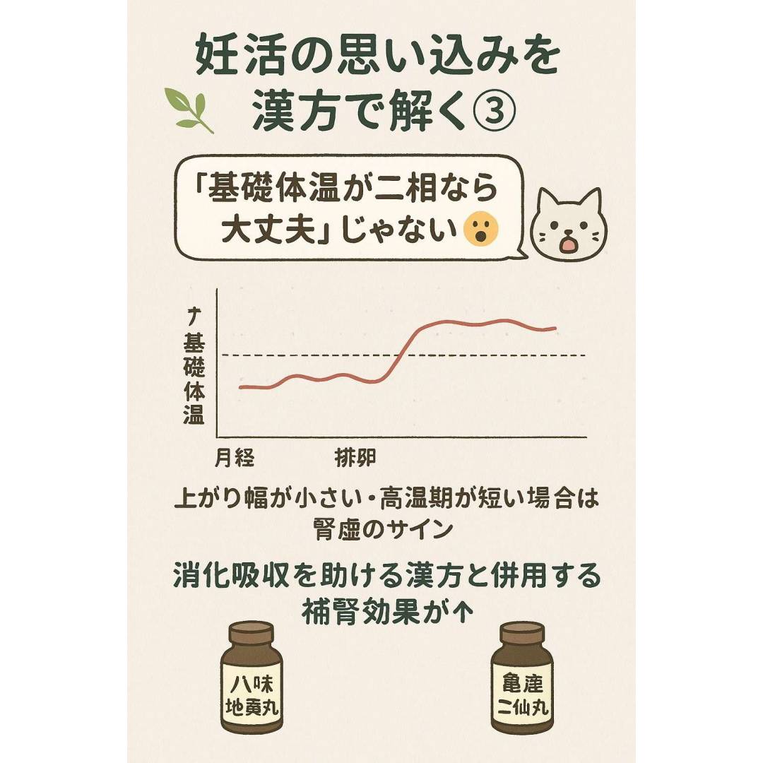 妊活の思い込みを漢方で解く③👨⚕️