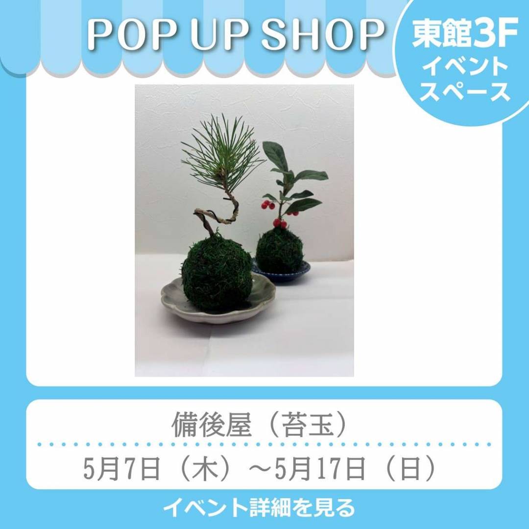東館3Fイベント「備後屋」（苔玉）