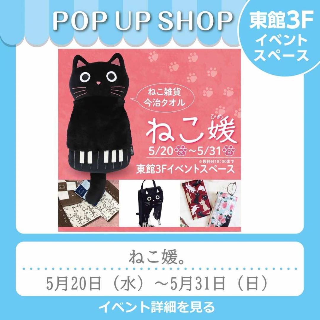 東館3Fイベント「ねこ媛」