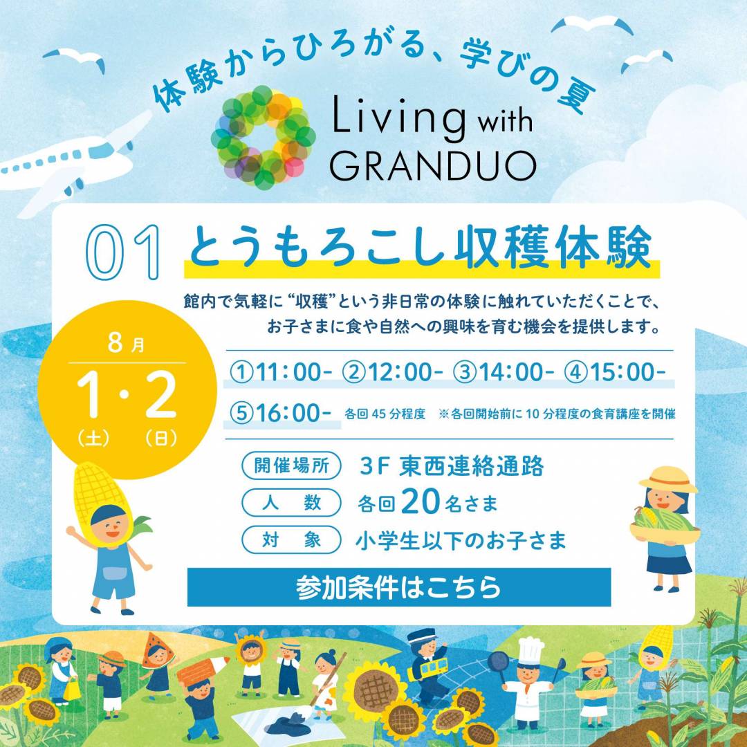 とうもろこし収穫体験
